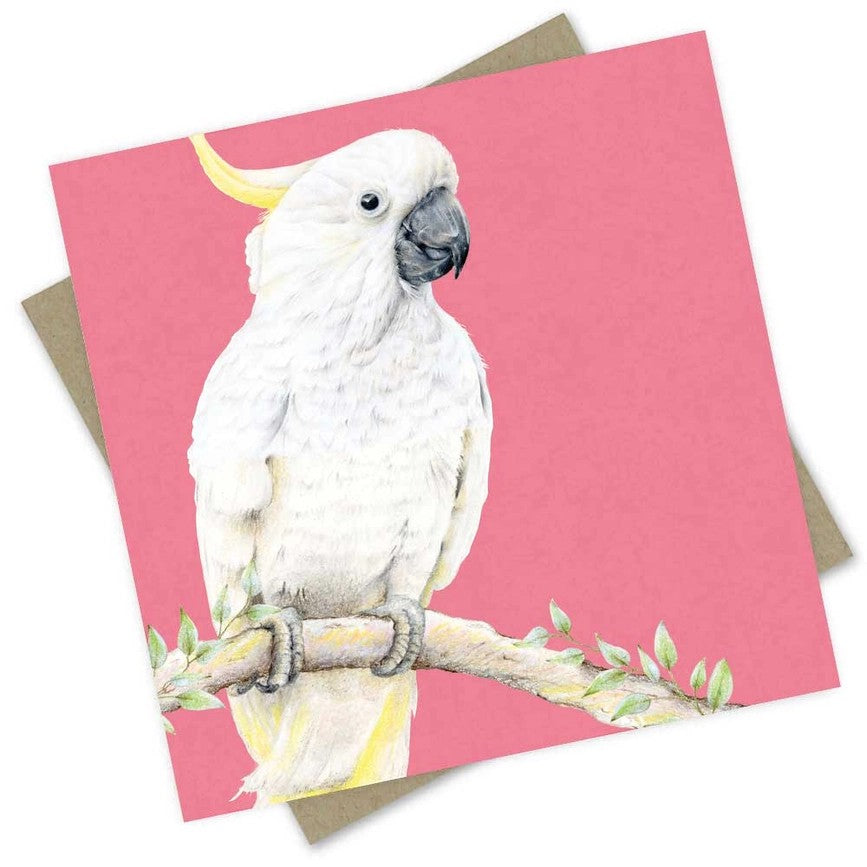 Australian made bird greeting card featuring a white sulphur-crested cockatoo perched against a bright pink background