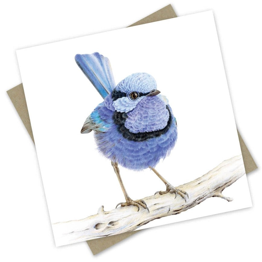 Australian made bird greeting card featuring a blue splendid fairy wren perched on a natural timber branch
