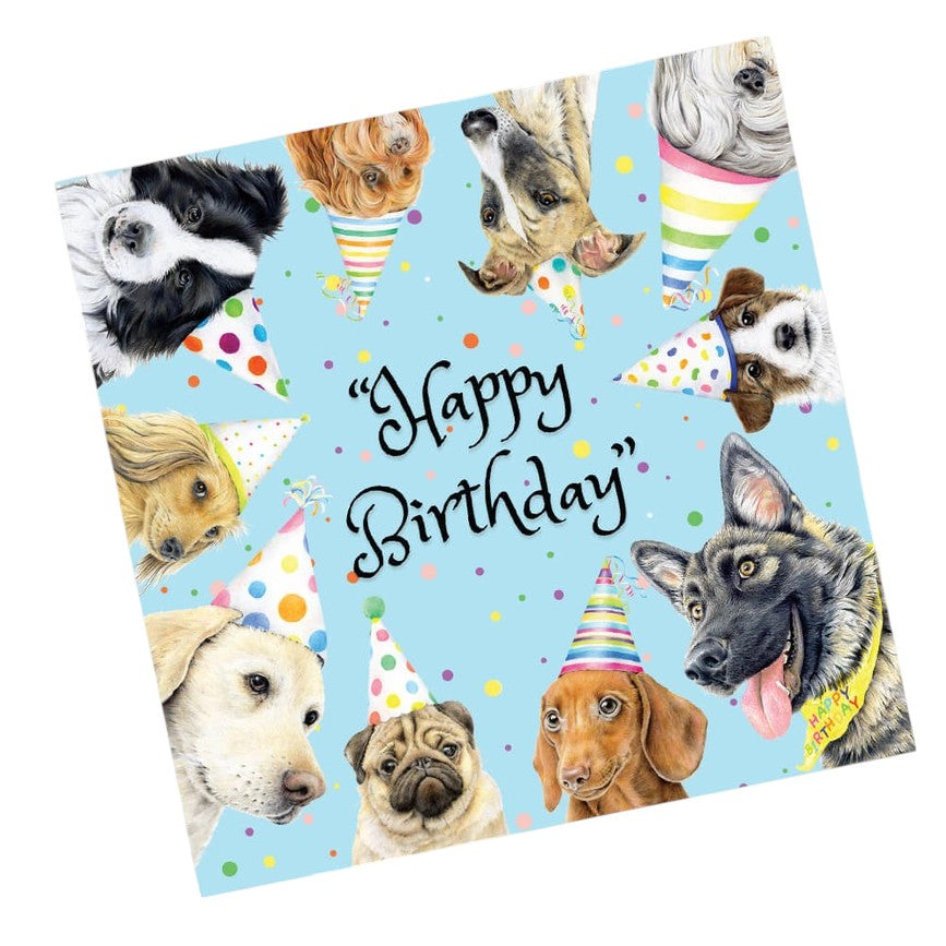 Australian made birthday card featuring illustrated dogs wearing colourful party hats around a Happy Birthday message