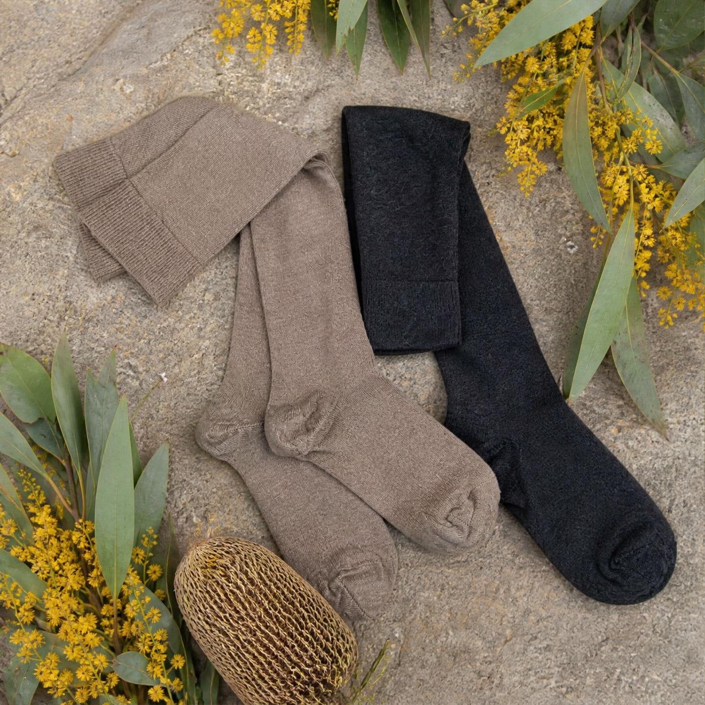 Taupe & Black baby alpaca blend knee-high socks arranged with Australian native flowers.