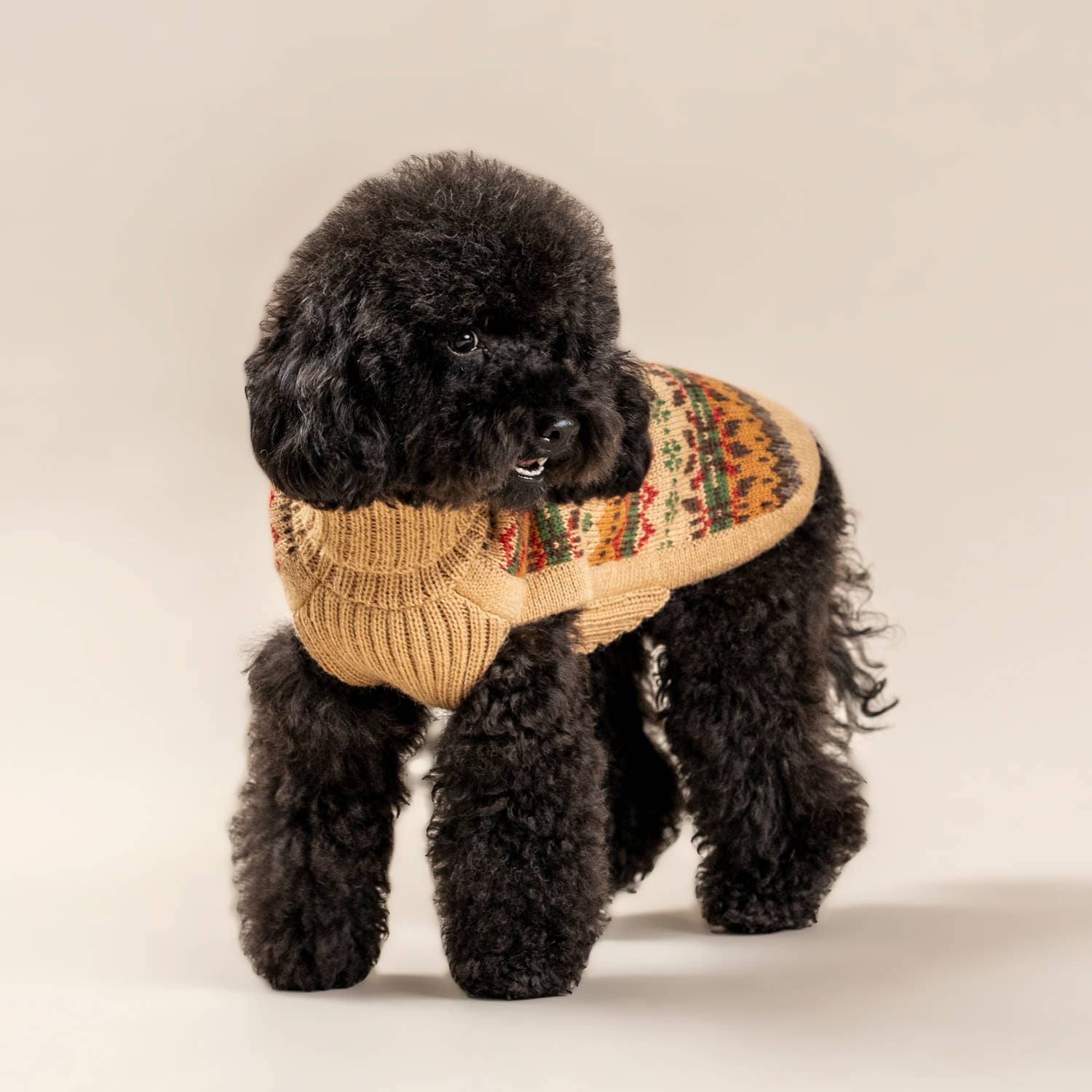 #Color_Fair Isle Finn