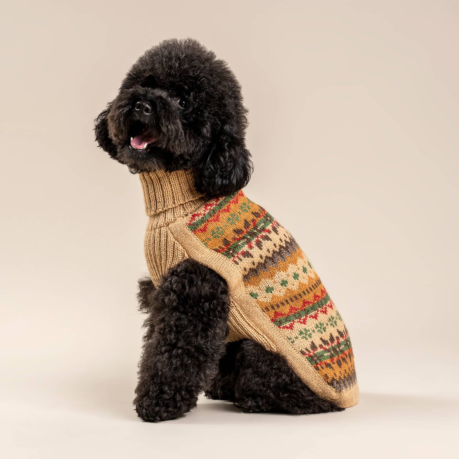 #Color_Fair Isle Finn