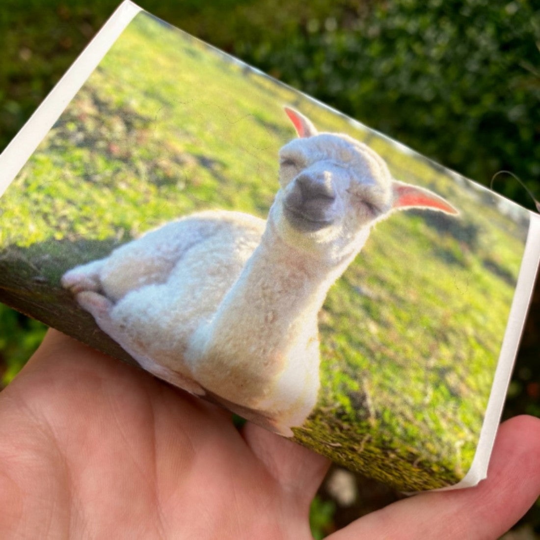 Beone shea butter soap featuring refreshing lemongrass scent and original Australian alpaca artwork.