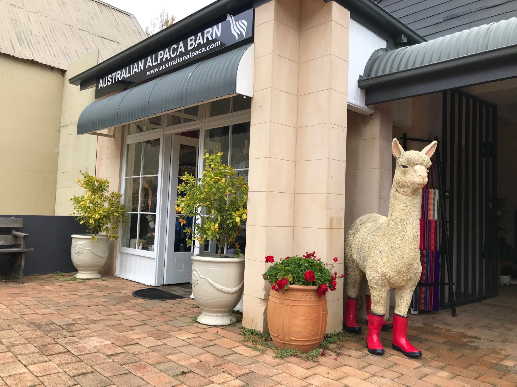 Photo Of Australian Alpaca Barn Berrima Store