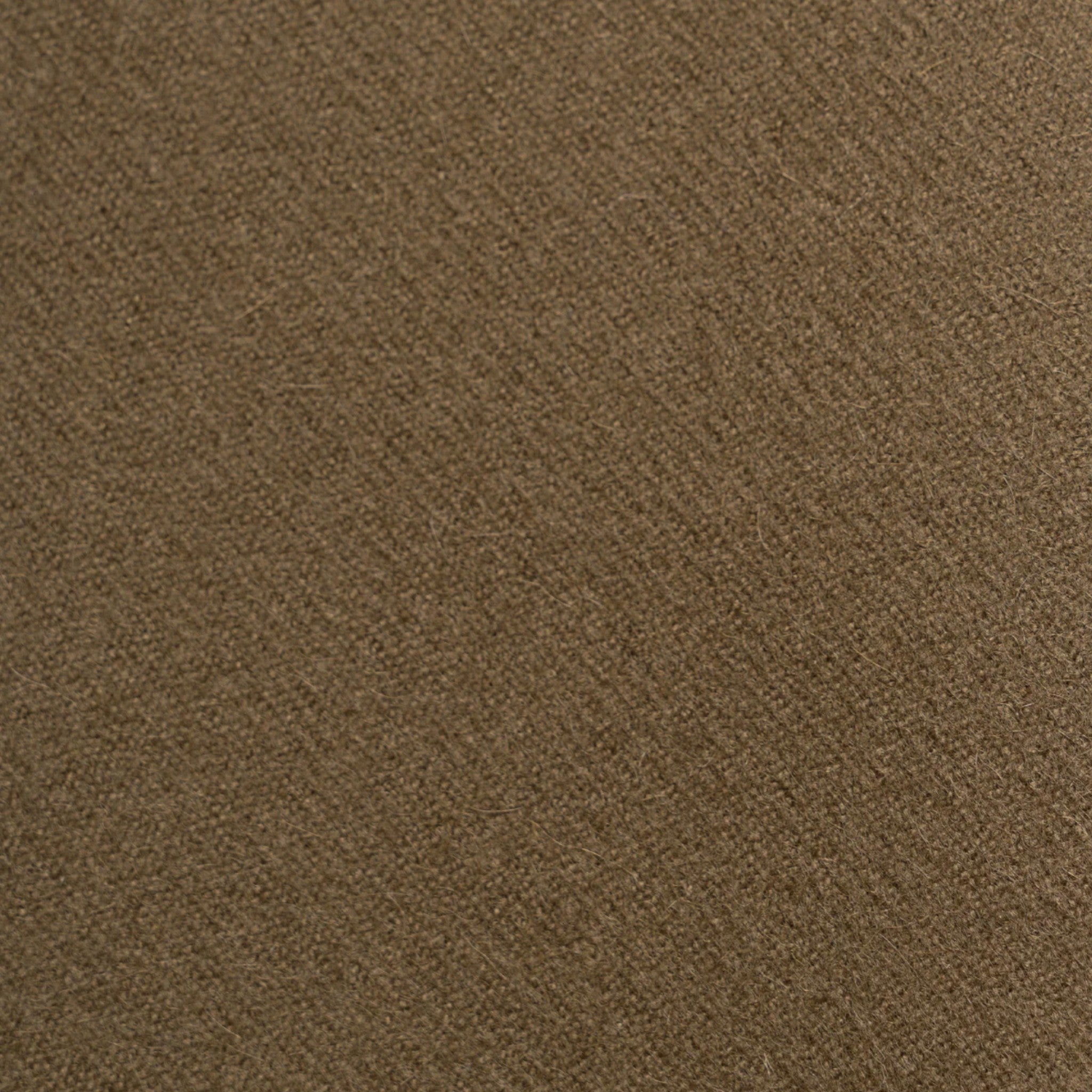 #Color_Olive Green