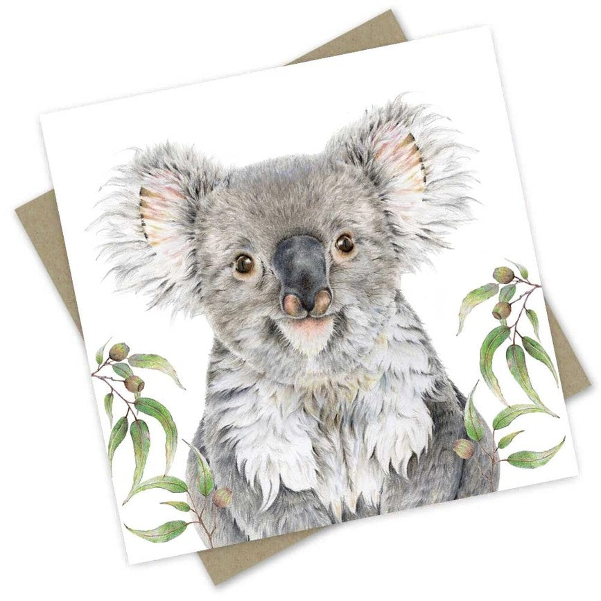 Australian made koala greeting card featuring a detailed grey koala surrounded by eucalyptus leaves and gum nuts
