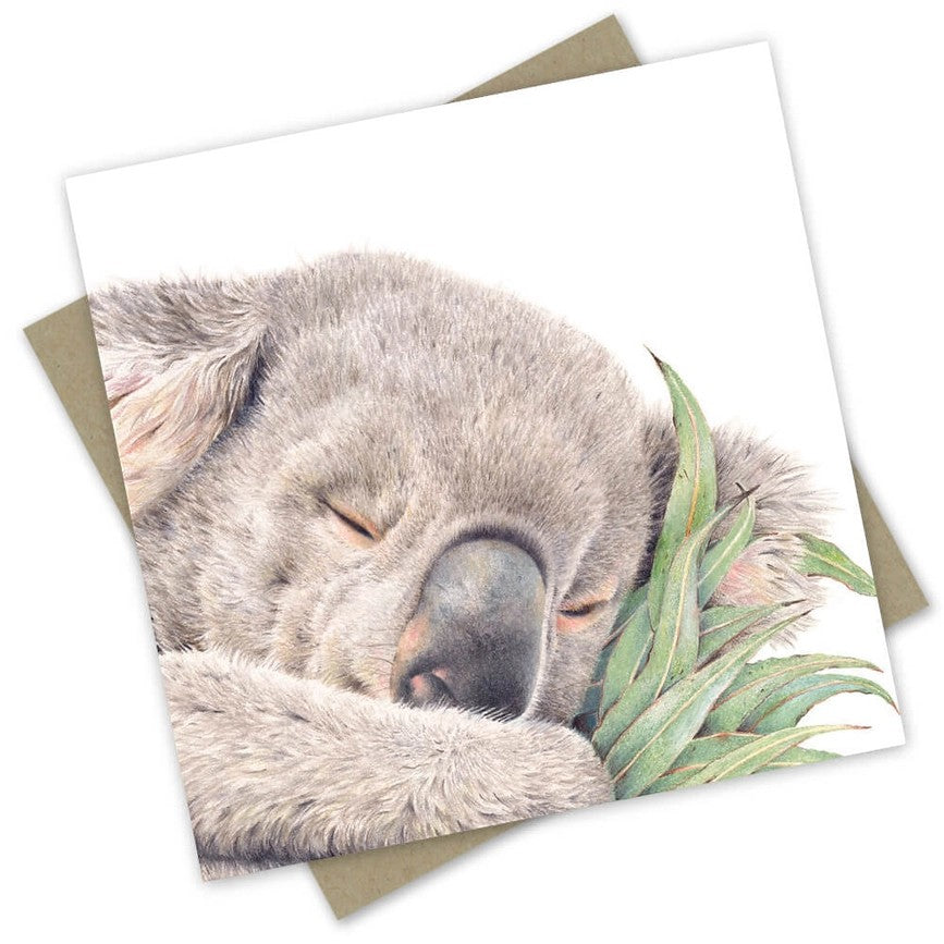 Australian made koala greeting card featuring a sleeping grey koala cuddled beside fresh eucalyptus leaves
