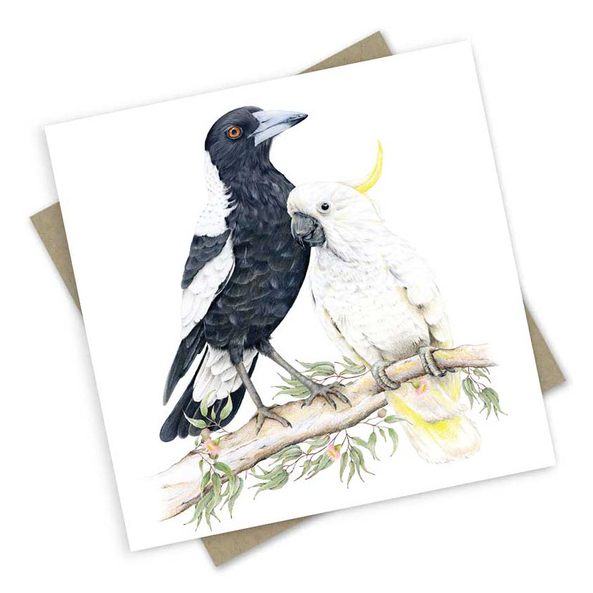A square card featuring a black-and-white magpie and a white cockatoo perched on a branch