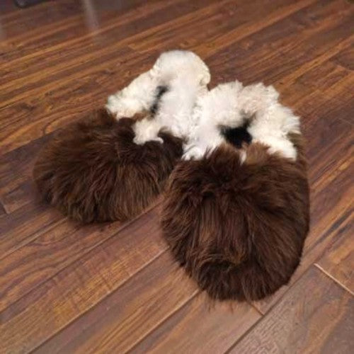 Natural alpaca fur slippers in Brown and cream