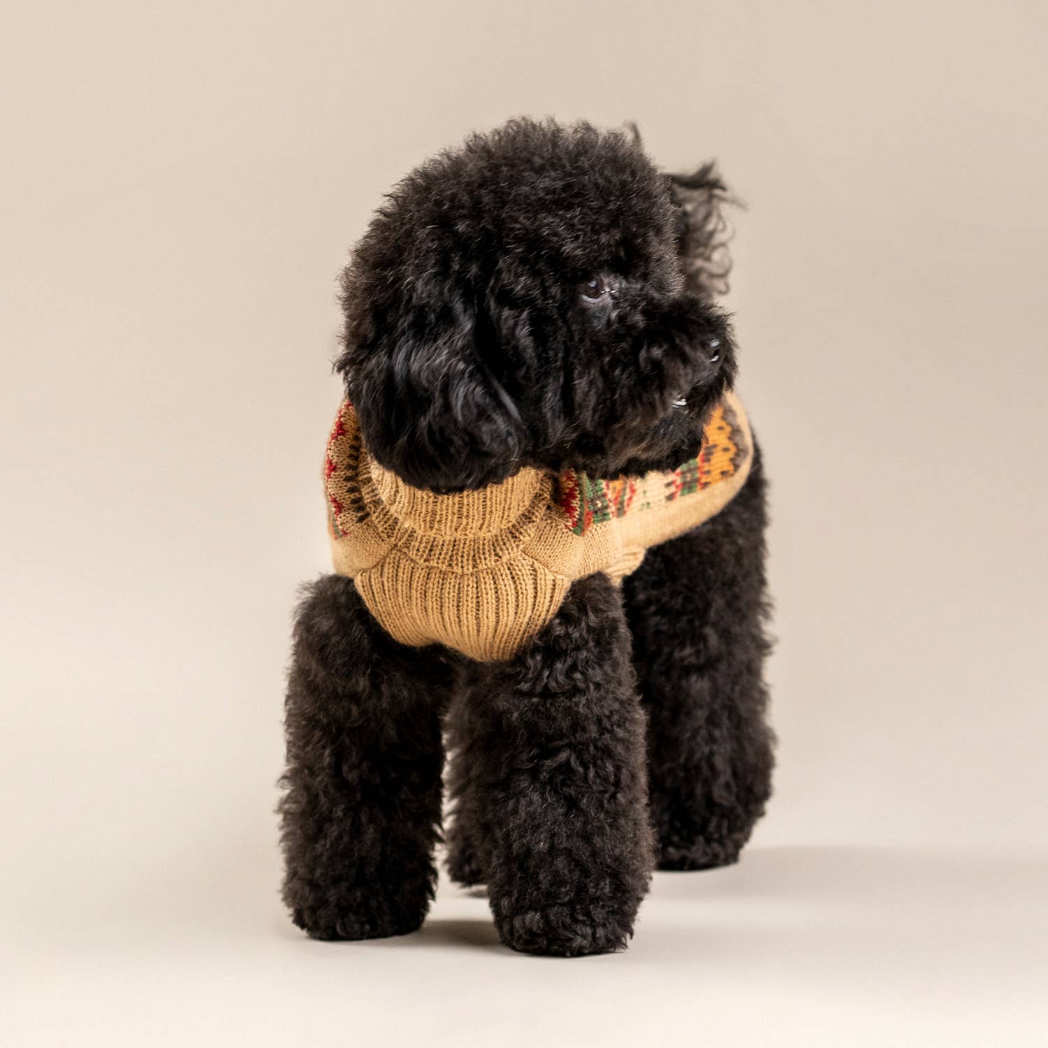 #Color_Fair Isle Finn